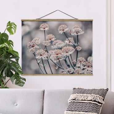 Foto su tessuto da parete con bastone - Mistico cespuglio di fiori - Orizzontale 4:3