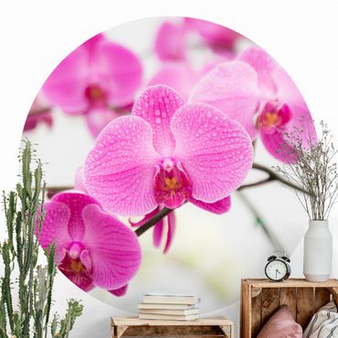 Carta da parati rotonda autoadesiva - Chiudi orchidea