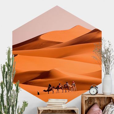 Carta da parati esagonale adesiva con disegni - Namib Desert