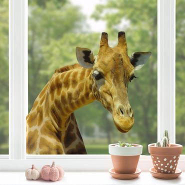 Adesivi da finestra no.21 Prying Giraffe