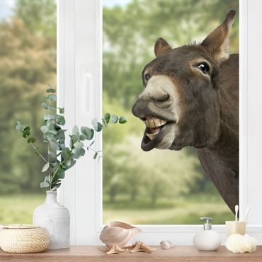 Adesivi da finestra no.249 Nosey Donkey