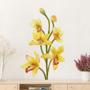 Adesivo murale no.173 Orchid Yellow