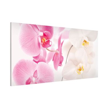 Lavagna magnetica - Orchids Delicate Orchids - Panorama formato orizzontale