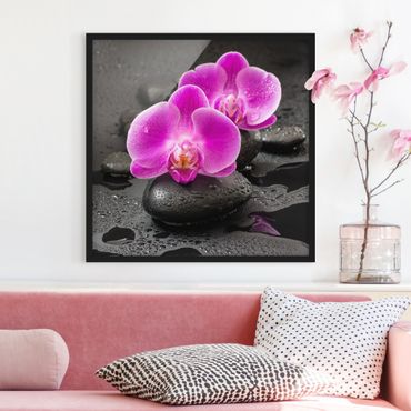 Poster con cornice - Fioritura di orchidee rosa su pietre con gocce
