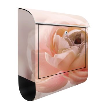 Cassetta postale - Focus su fioritura rosa