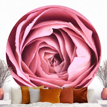 Carta da parati rotonda autoadesiva - fiori di rosa rosa