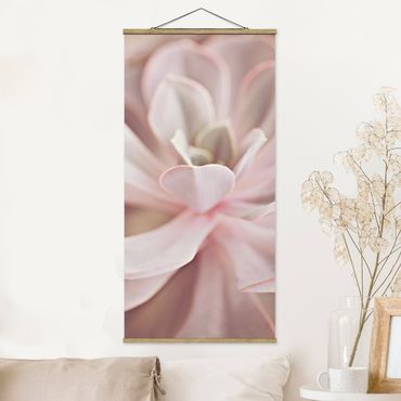 Foto su tessuto da parete con bastone - Fiori di pianta grassa rosati - Verticale 1:2