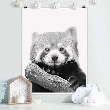 Poster - Panda rosso in bianco e nero