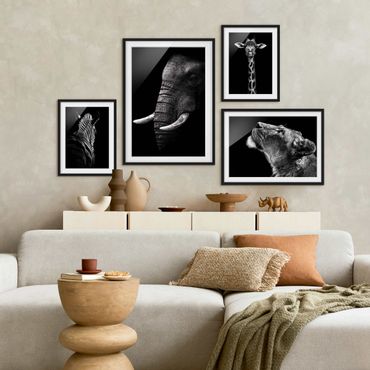 Gallerie a parete - Safari in bianco e nero