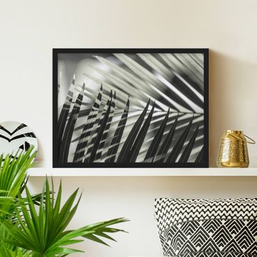 Poster con cornice - Giochi di ombre su ramo di palma