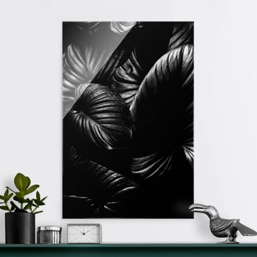 Quadro in vetro - Botanica Hosta in bianco e nero - Formato verticale