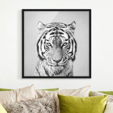 Poster con cornice - Tigre Tiago in bianco e nero