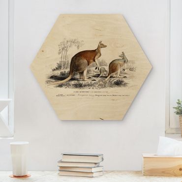 Esagono in legno - Tavola didattica vintage canguro