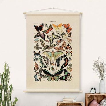 Arazzo da parete - Tavola didattica vintage farfalle e lepidotteri