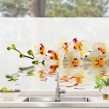 Decorazione per finestre - Vivid Orchid Waters