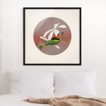 Poster con cornice - Collage di uccellini in cerchio II