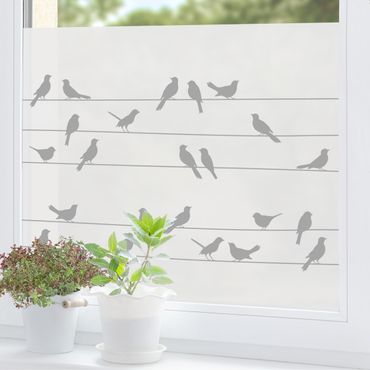 Pellicole per vetri - Stormo di uccelli