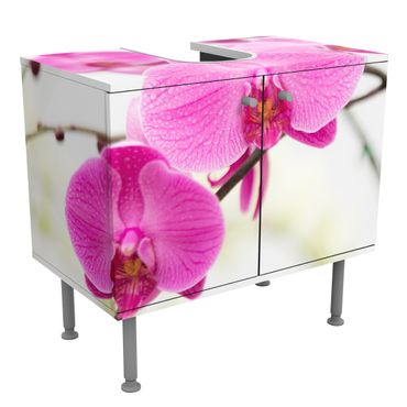 Mobile per lavabo design Close-up of orchid