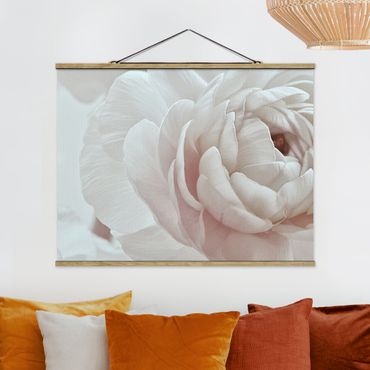 Foto su tessuto da parete con bastone - Fioritura bianca in un mare di fiori - Orizzontale 4:3