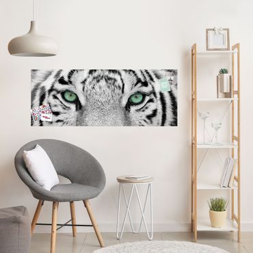 Quadro in vetro - White Tiger - Panoramico