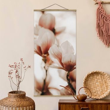 Foto su tessuto da parete con bastone - Fioriture di magnolia delicate nel gioco di luce - Verticale 1:2