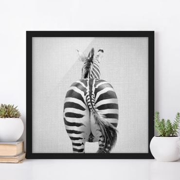 Poster con cornice - Zebra da dietro Black White