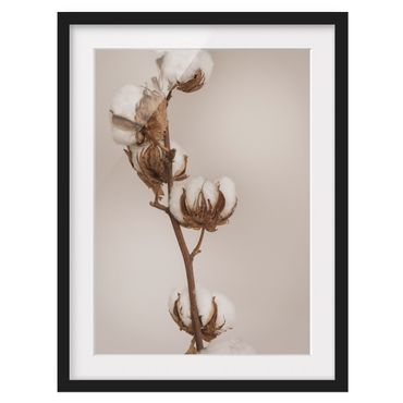 Poster con cornice - Fragile ramo di cotone