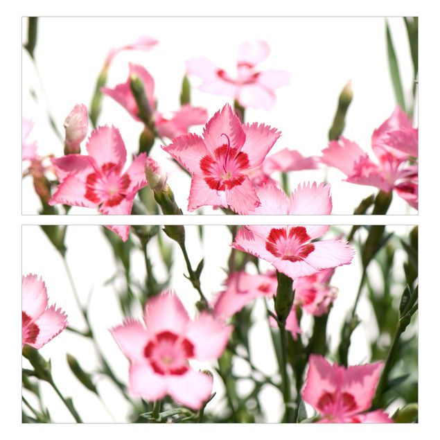 Carta adesiva per mobili IKEA - Malm Cassettiera 2xCassetti - Pink Flowers