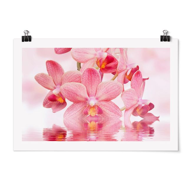Quadri floreali moderni Orchidea rosa chiaro sull'acqua