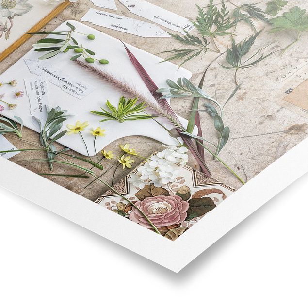 Stampe poster Fiori ed erbe da giardino vintage