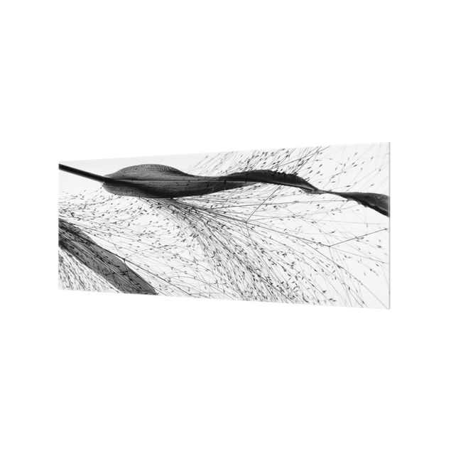 Paraschizzi in vetro - Canneto delicato con sottili gemme in bianco e nero - Panorama 5:2