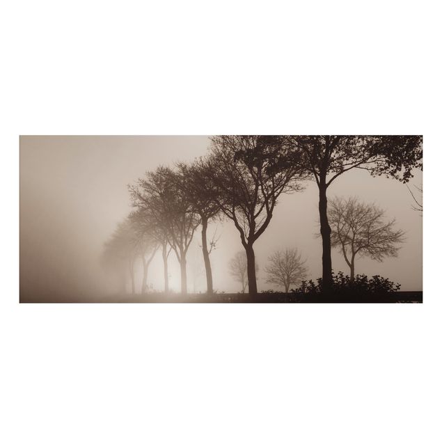 Quadro alberi Albero Avanue nella nebbia mattutina