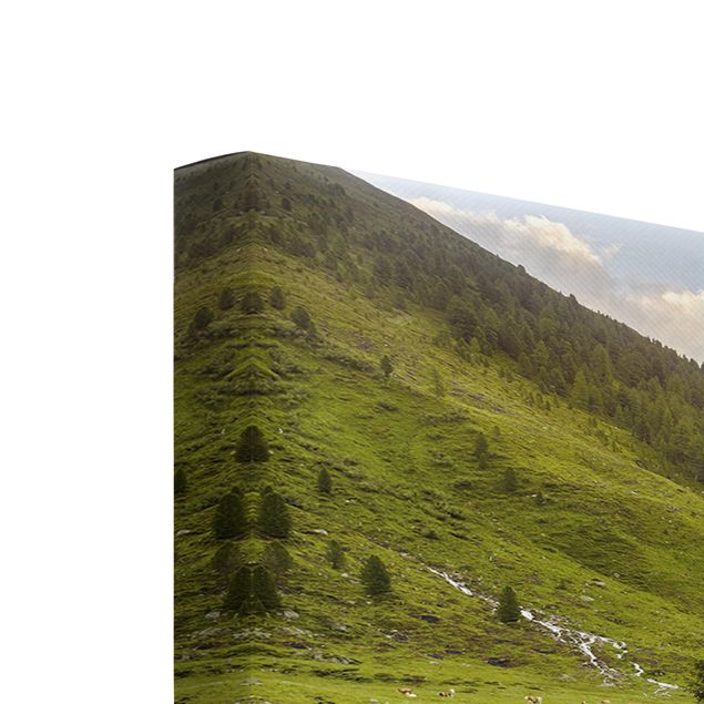 Quadri su tela paesaggio Prato alpino Tirolo