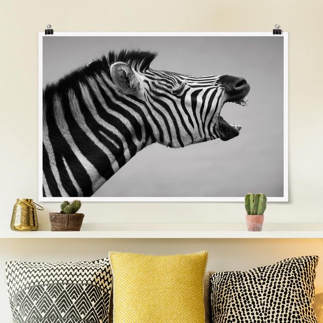 Quadro Africa Zebra ruggente ll