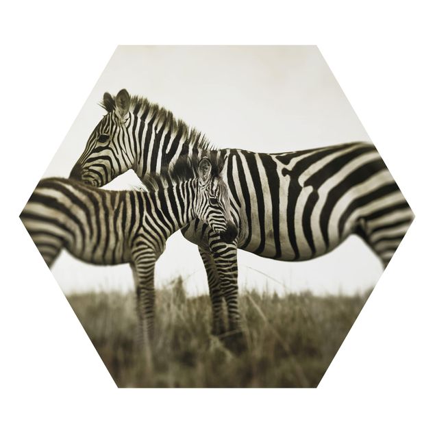 Quadri con animali Coppia di zebre