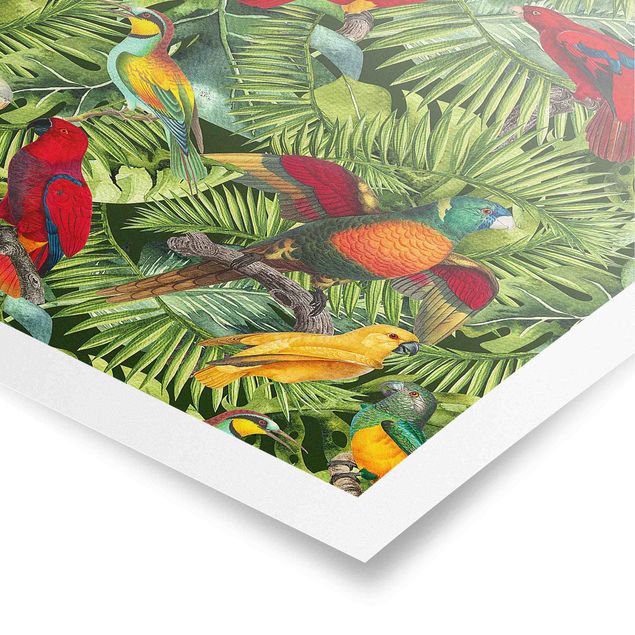 Quadri moderni colorati Collage colorato - Pappagalli nella giungla