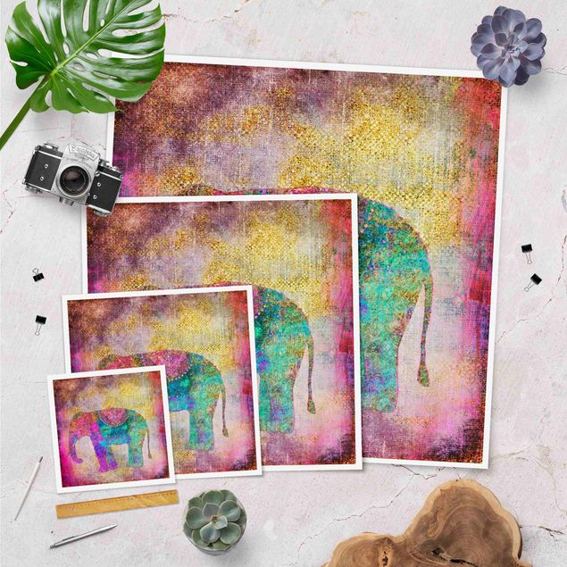 Poster Collage colorato - Elefante indiano