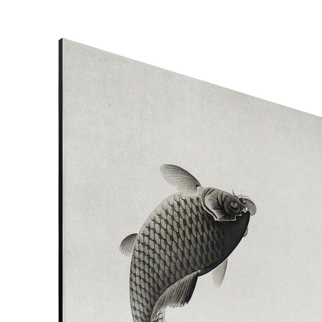 Quadro grigio Illustrazione vintage di pesci asiatici IIl