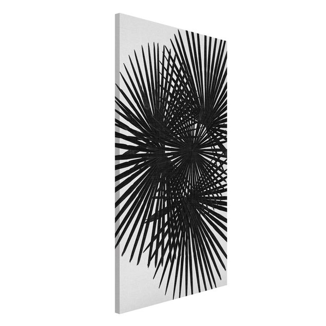Lavagne magnetiche con fiori Foglie di palma in bianco e nero