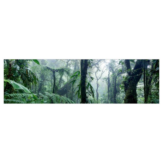 Rivestimenti cucina - Foresta nuvolosa di Monteverde