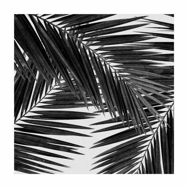 Tappeti con motivi naturali Vista sulle foglie di palma in bianco e nero