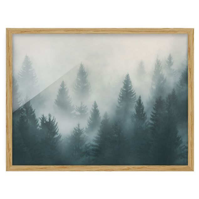 Quadri moderni per arredamento Foresta di conifere nella nebbia