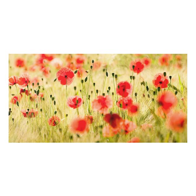 Paraschizzi in vetro - Summer Poppies
