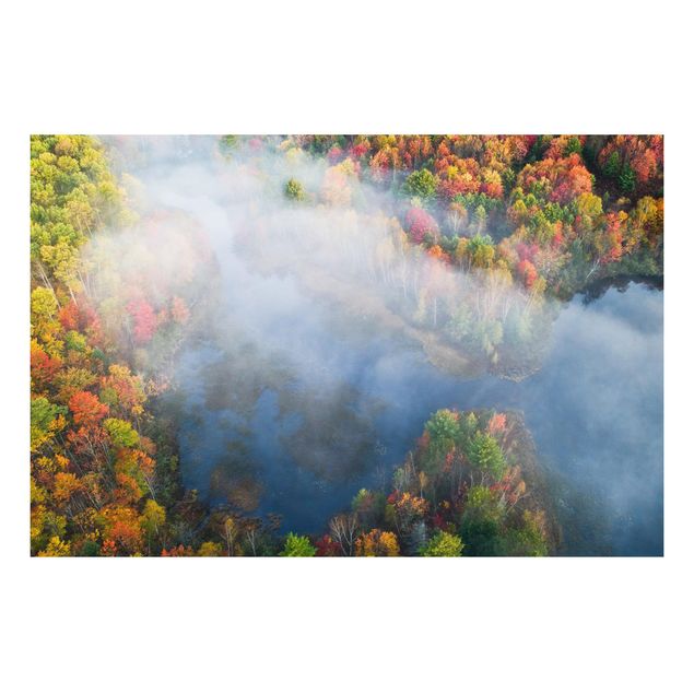 Quadro alberi Vista aerea - Sinfonia d'autunno