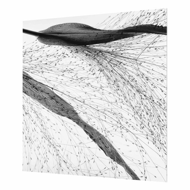 Paraschizzi in vetro - Canneto delicato con sottili gemme in bianco e nero - Quadrato 1:1