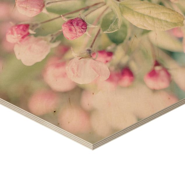 Esagono in legno - Apple Blossom rosa bokeh