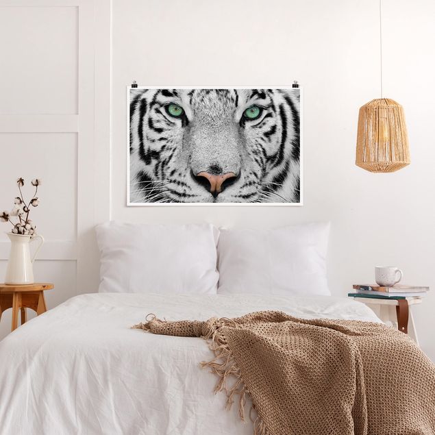 Quadri moderni bianco e nero Tigre bianca