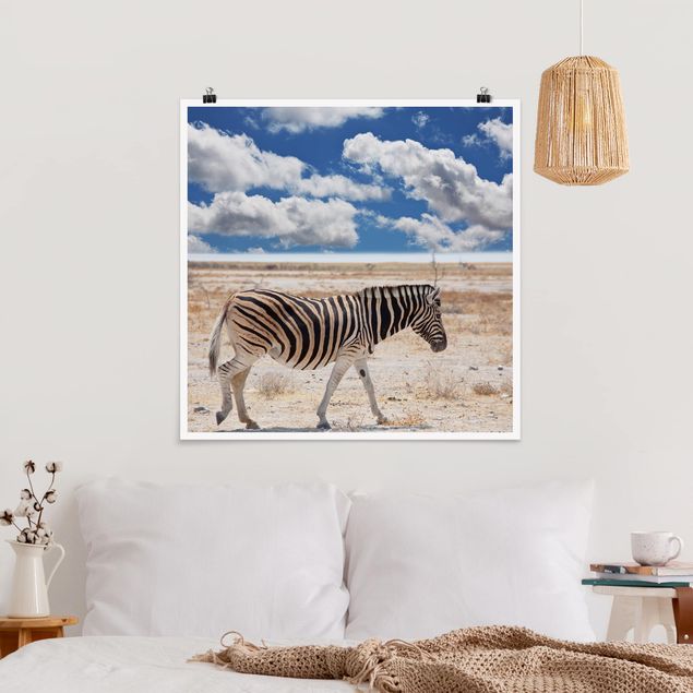 Quadri con paesaggio Zebra nella savana