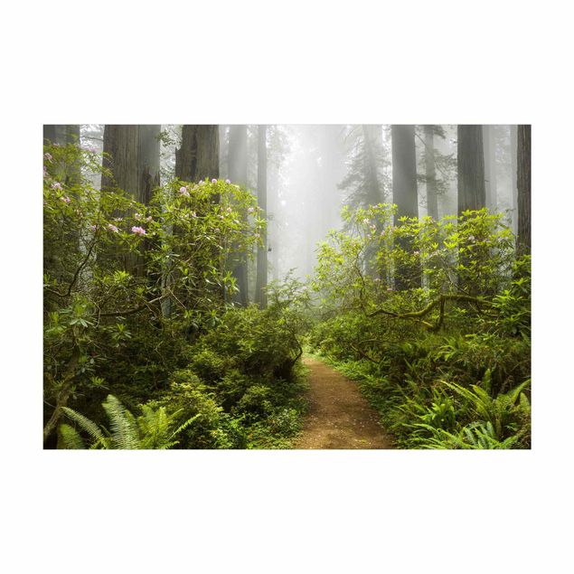 Tappeti con motivi naturali Sentiero della foresta nebbiosa
