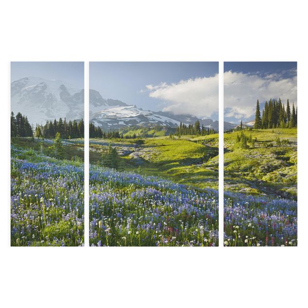 Quadro montagna Prato di montagna con fiori blu davanti al monte Rainier